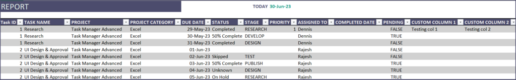 Task Report: Task Manager Advanced Excel Template