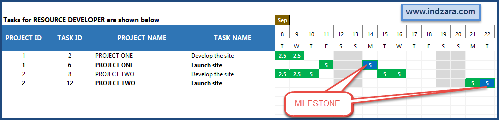 Milestone Excel Template For Two Years from indzara.com