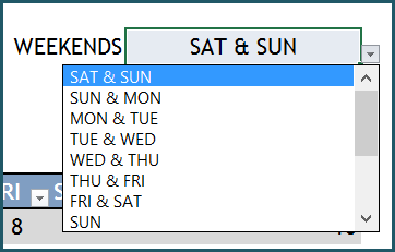 Project Manager Excel Template - Settings - Weekends