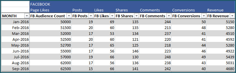 Enter Monthly data for each social media network (Example: Facebook)