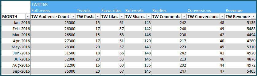 Enter Monthly data for each social media network (Example: Twitter)