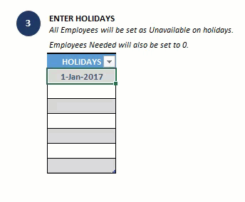 Enter list of Holidays in company - Team Vacation Planner Excel Template