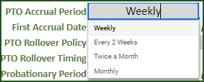 PTO Accrual Period – Options – Weekly, Every 2 Weeks, Twice a Month, Monthly
