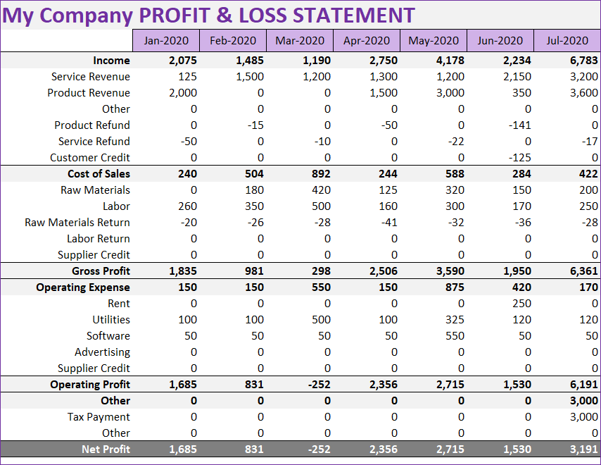 Profit and Loss or Income Statement- Small Business Finance Manager Excel Template