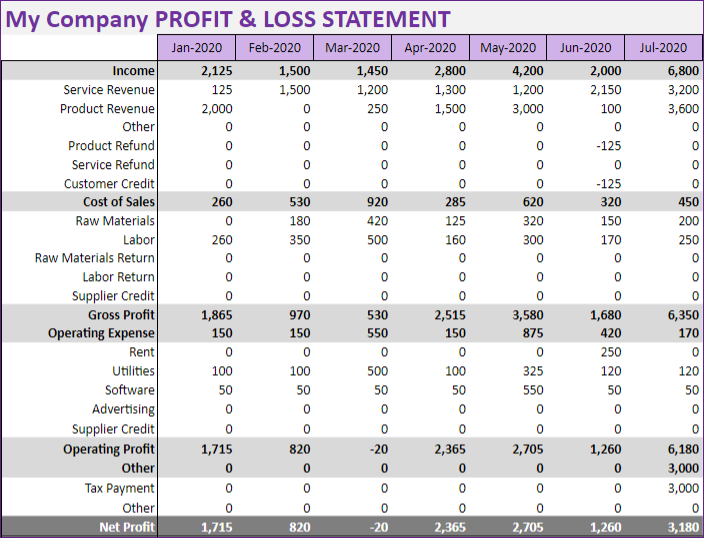 Profit & Loss (Income) Statement - Finance Manager Google Sheet Template