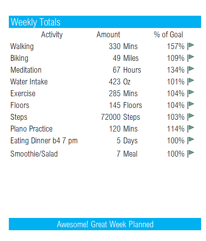 Planning - Successful planning - Fitness & Weight Loss Tracker Excel Template