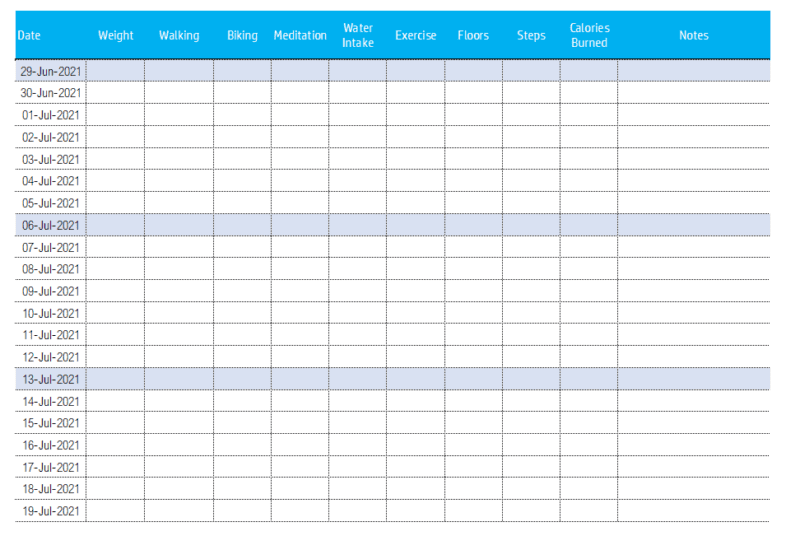 excel weight loss tracker