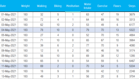 Download Fitness Weight Loss Tracker Excel Template