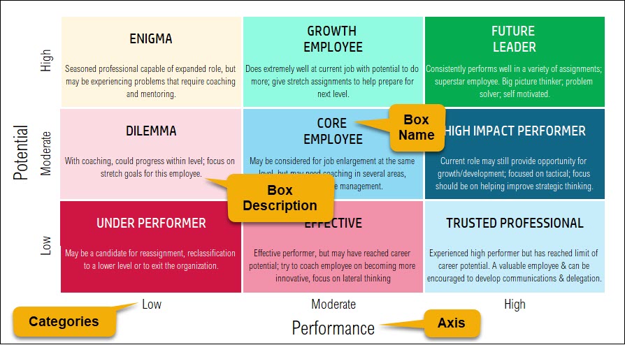 9 Box Grid Talent Management Google Sheet Template - Customize 9 Box Grid