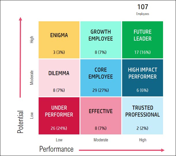 9 Box Grid talent management framework tool