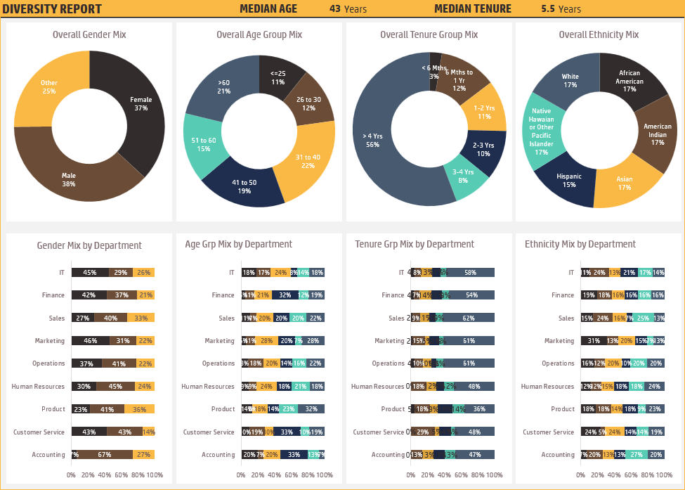 Diversity Report - HR Admin Dashboard