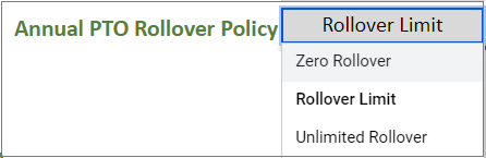 Annual PTO Rollover Policy Setting – Options