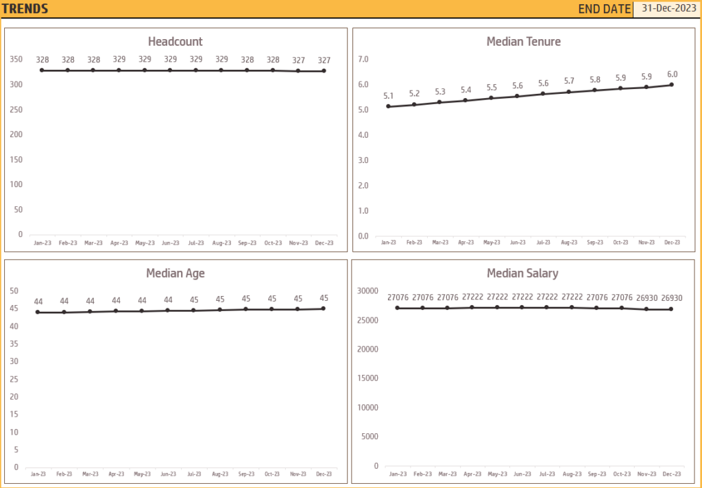 Trends Report - HR Administration Dashboard Excel Template