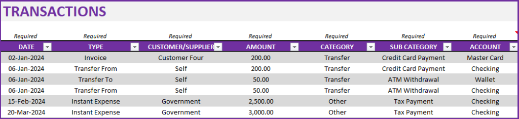Enter Transaction Data - Small Business Finance Manager Excel Template